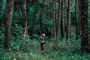 BIB: 
                            <button type="button" onclick="openModal(25235945)" class="btn btn-primary btn-sm float-right btn-popup" data-toggle="modal" data-target=".modal-high-quality">
                        <i class="fas fa-shopping-cart"></i> Add to Cart
                    </button>
                                            <button type="button" onclick="isThisMe(25235945, true)" class="btn btn-success btn-sm float-right btn-popup btn-isme hidden" data-toggle="tooltip" data-placement="bottom" title="นี่คือรูปของคุณใช่ไหม คลิกที่นี่เพื่อเอาเข้าอัลบั้ม">
                        <i class="fas fa-plus"></i> Add to album
                    </button>
                    <button type="button" onclick="isThisMe(25235945, false)" class="btn btn-warning btn-sm float-right btn-popup btn-isnotme hidden">
                        <i class="fas fa-ban"></i> Remove from album
                    </button>